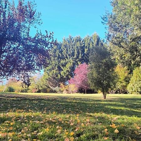 Cautiva Morena San Martín de los Andes Kültér fotó